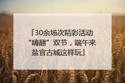 30余场次精彩活动“嗨翻”双节，端午来盐官古城这样玩