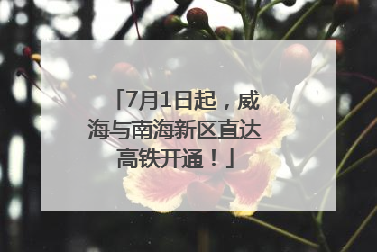 7月1日起，威海与南海新区直达高铁开通！