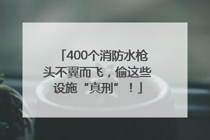 400个消防水枪头不翼而飞，偷这些设施“真刑”！