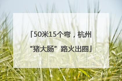 50米15个弯，杭州“猪大肠”路火出圈