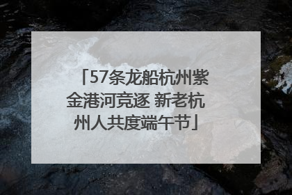 57条龙船杭州紫金港河竞逐 新老杭州人共度端午节
