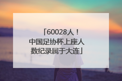60028人！中国足协杯上座人数纪录属于大连