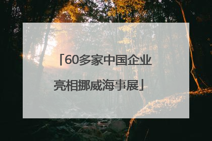 60多家中国企业亮相挪威海事展