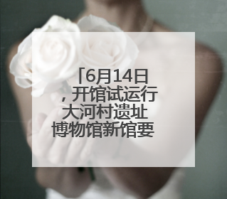 6月14日，开馆试运行 大河村遗址博物馆新馆要来了