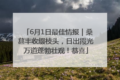 6月1日最佳情报｜桑葚丰收缀枝头，日出霞光万道蓬勃壮观！恭喜