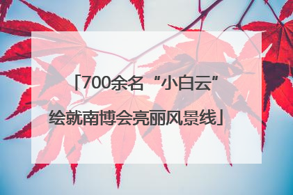 700余名“小白云”绘就南博会亮丽风景线