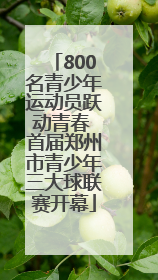 800名青少年运动员跃动青春 首届郑州市青少年三大球联赛开幕