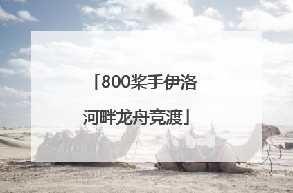 800桨手伊洛河畔龙舟竞渡