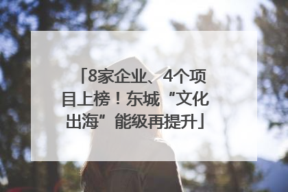 8家企业、4个项目上榜！东城“文化出海”能级再提升