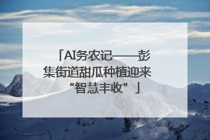 AI务农记——彭集街道甜瓜种植迎来“智慧丰收”