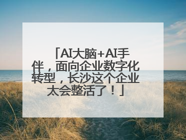AI大脑+AI手伴，面向企业数字化转型，长沙这个企业太会整活了！