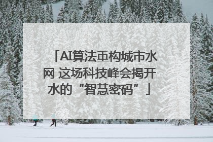 AI算法重构城市水网 这场科技峰会揭开水的“智慧密码”