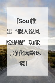 Soul推出“假人设风险提醒”功能，净化网络环境