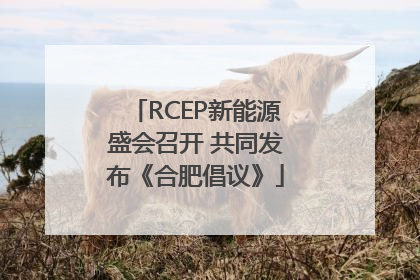 RCEP新能源盛会召开 共同发布《合肥倡议》